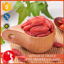 Hot selling good quality certified fresh chinese goji berry